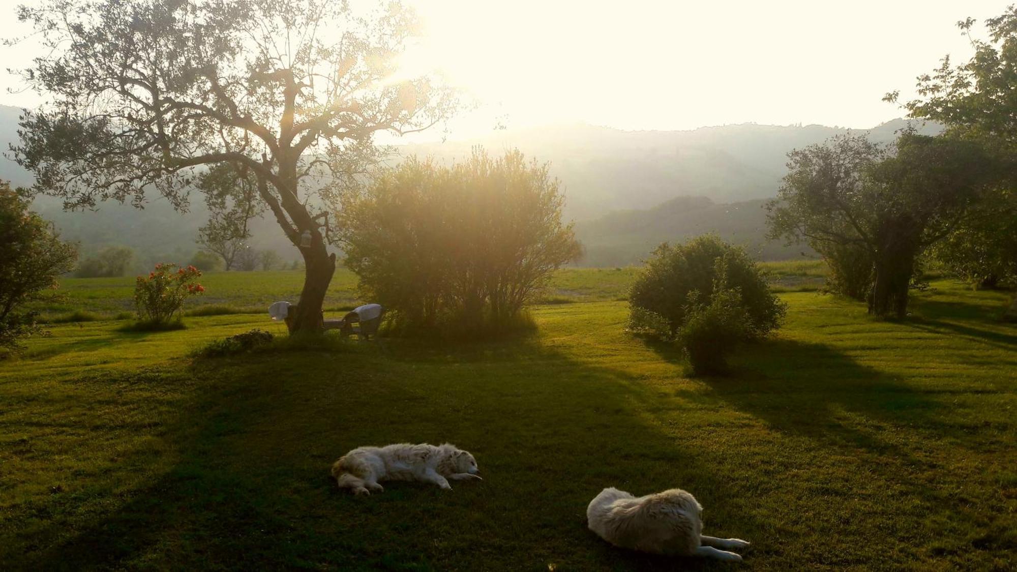 Bed and Breakfast Le Bumbarelle à Tavoleto Extérieur photo