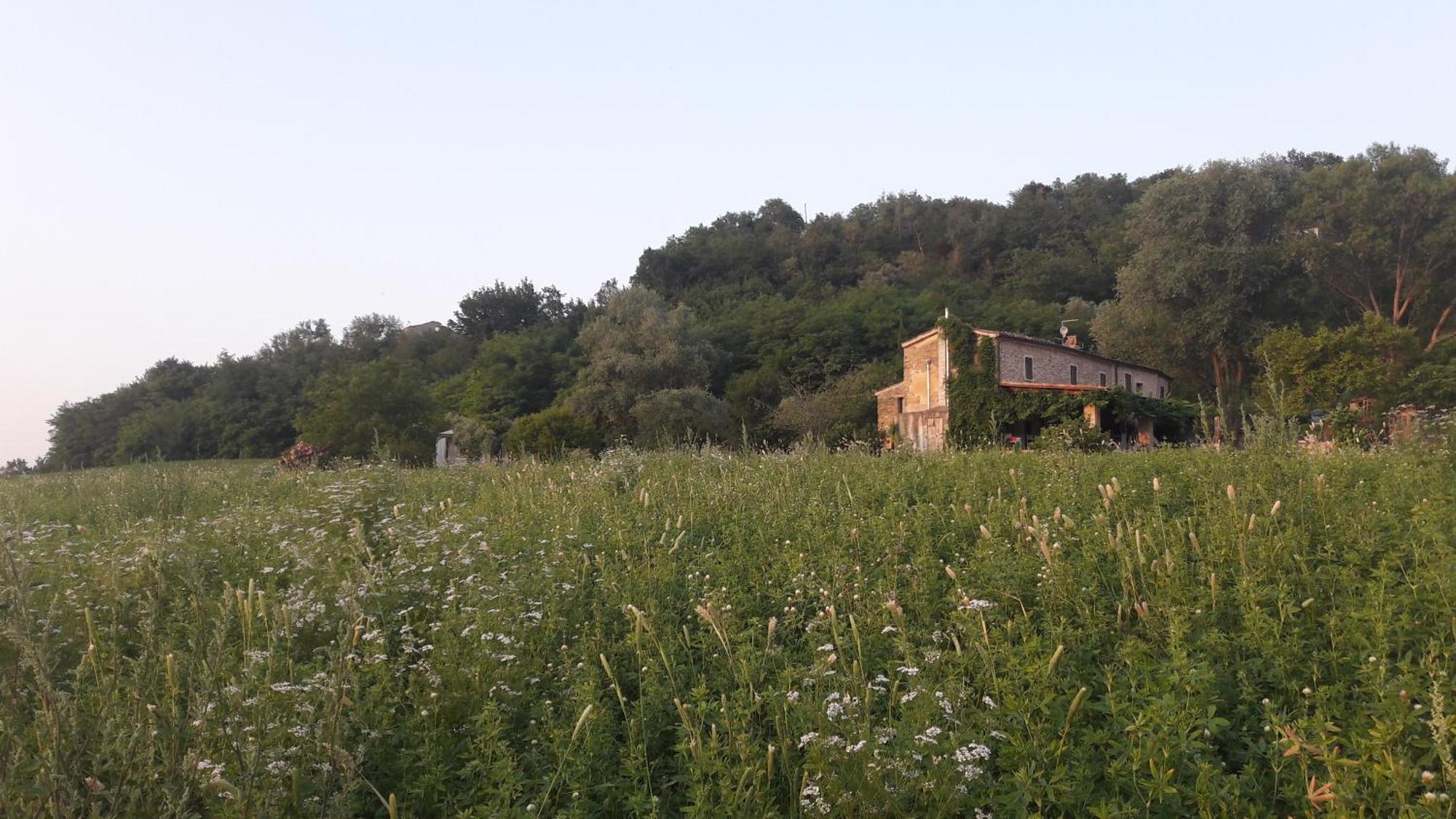 Bed and Breakfast Le Bumbarelle à Tavoleto Extérieur photo