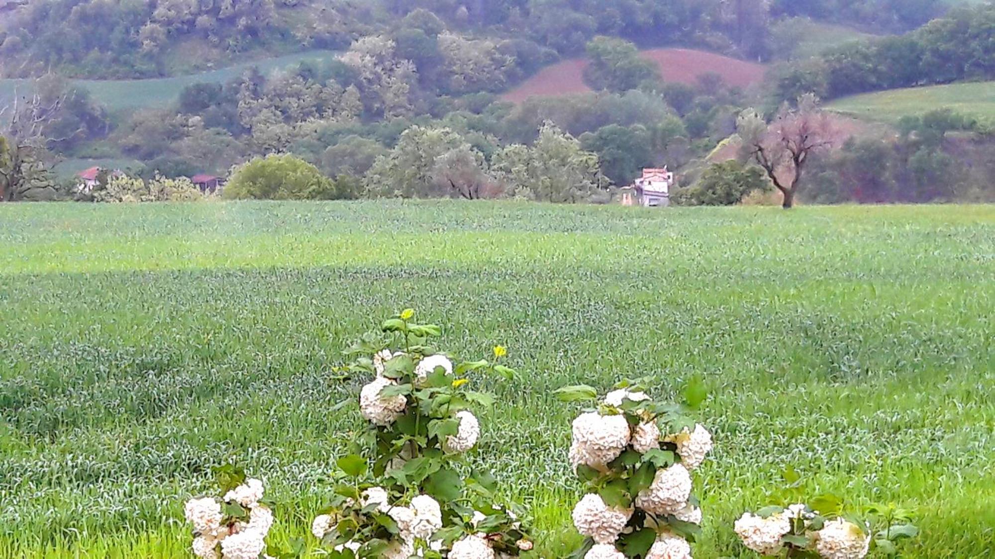 Bed and Breakfast Le Bumbarelle à Tavoleto Extérieur photo
