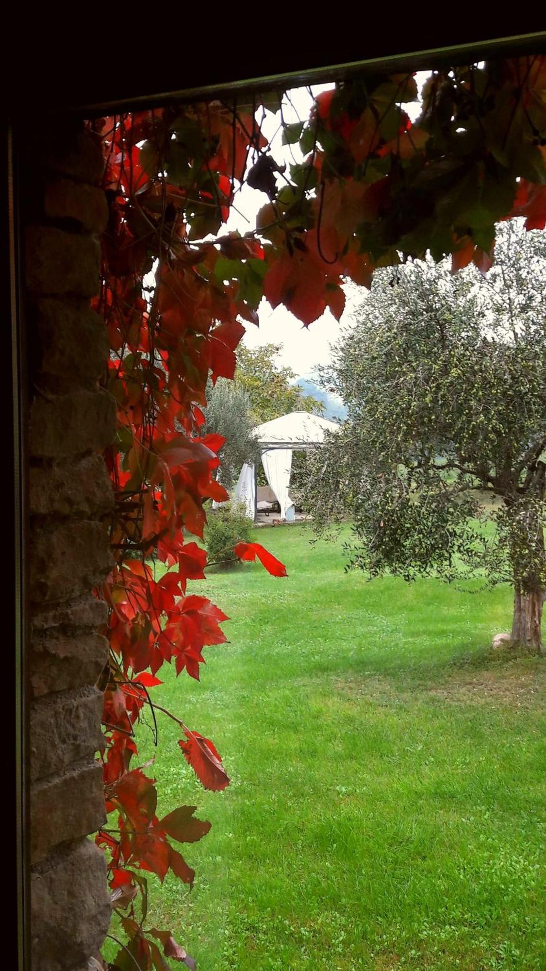 Bed and Breakfast Le Bumbarelle à Tavoleto Extérieur photo