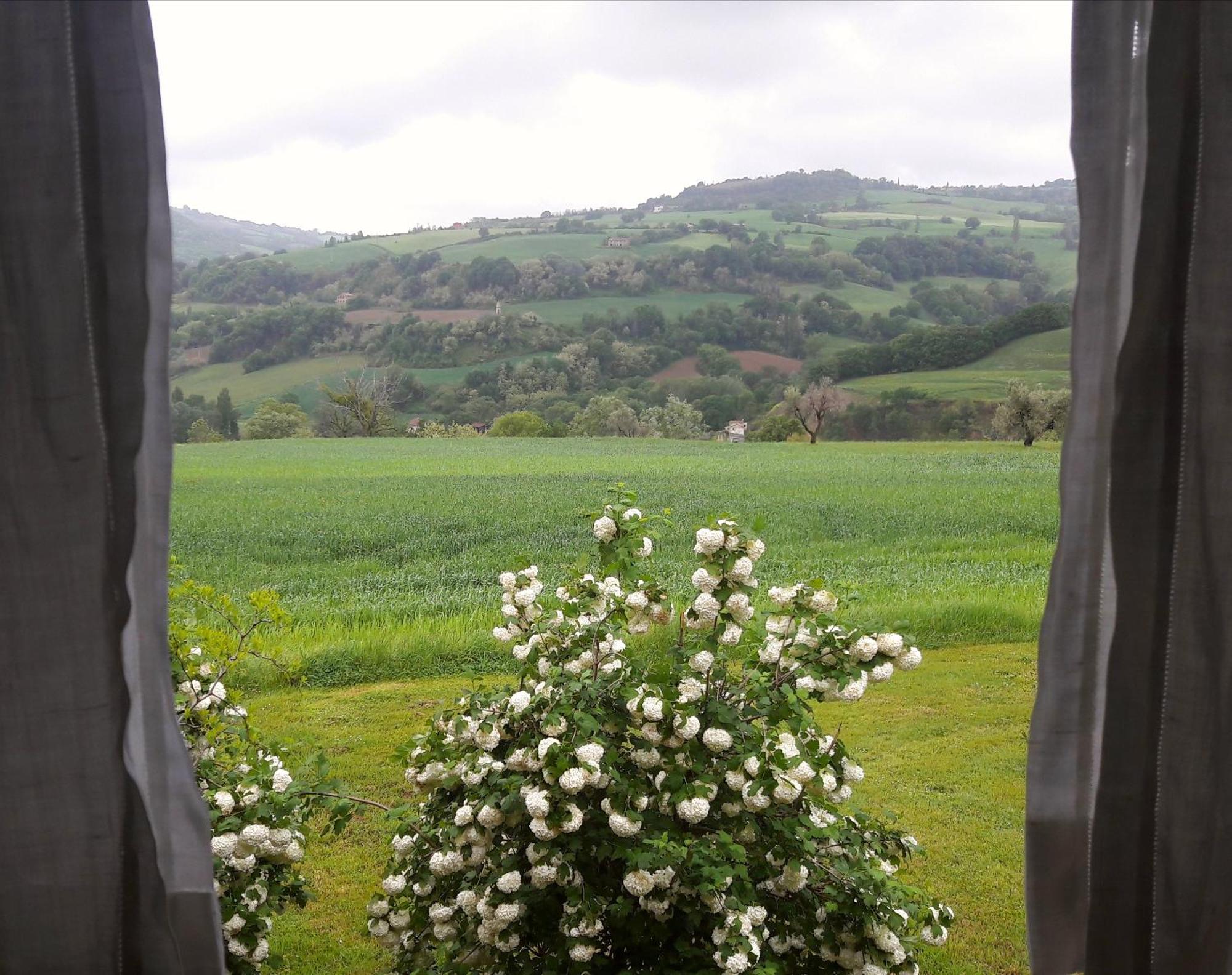 Bed and Breakfast Le Bumbarelle à Tavoleto Extérieur photo