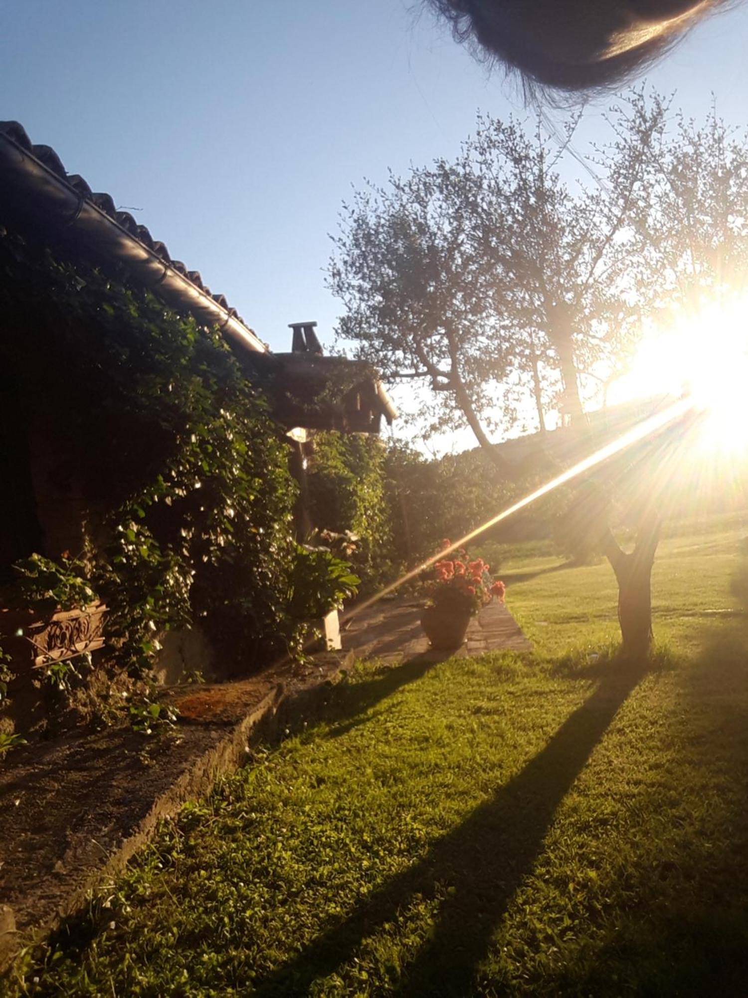 Bed and Breakfast Le Bumbarelle à Tavoleto Extérieur photo
