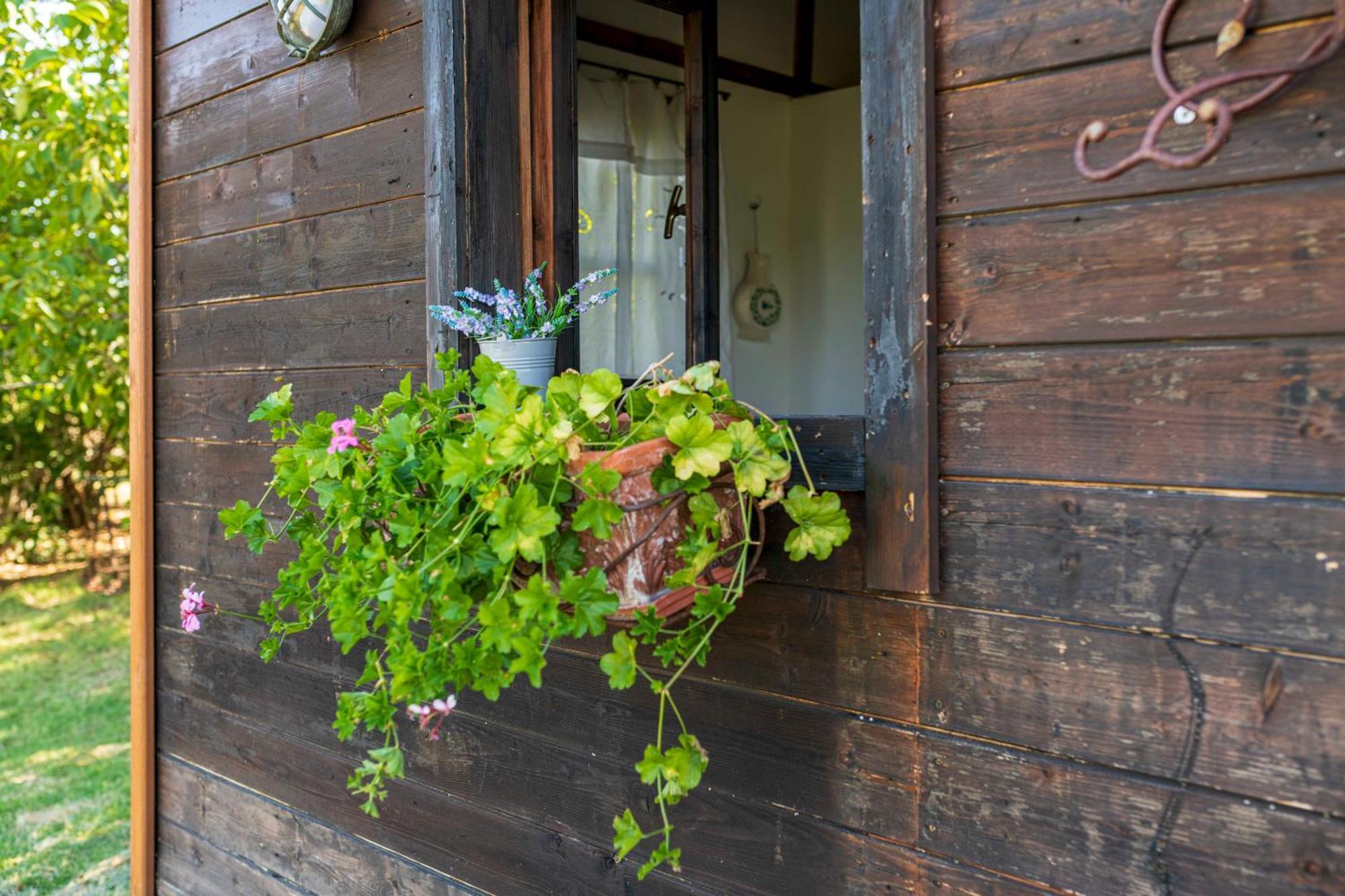 Bed and Breakfast Le Bumbarelle à Tavoleto Extérieur photo