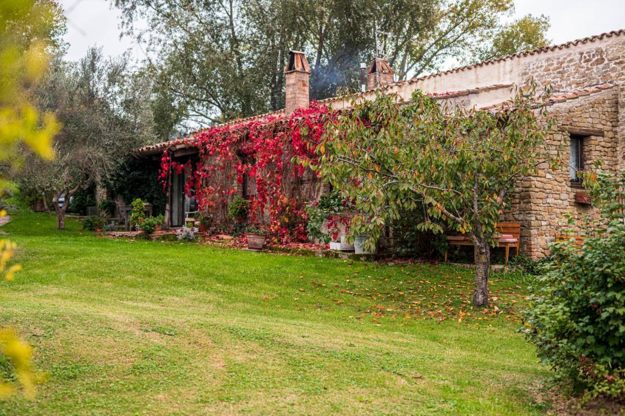 Bed and Breakfast Le Bumbarelle à Tavoleto Extérieur photo